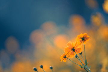 南通站和南通西站的区别