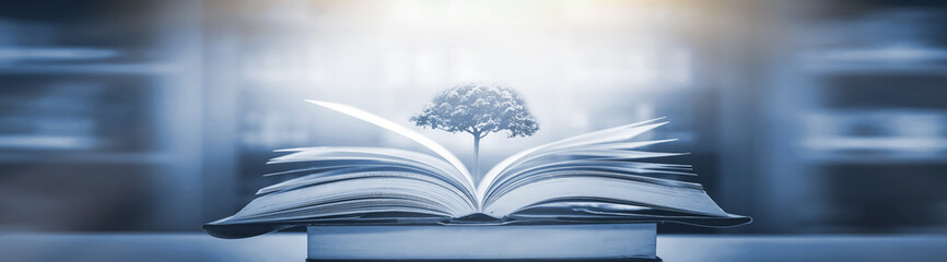 科目二启动车子的正确顺序