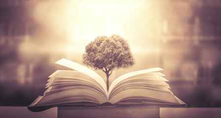 hb101活力液使用方法