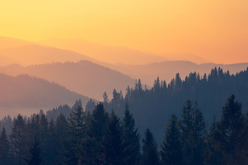 国产摩托车排名（国产摩托车前十名）