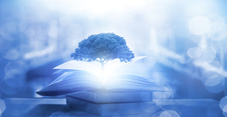 浴室柜品牌十大排名