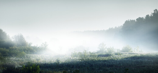 企业资质类别及等级该填什么