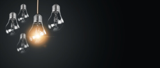 hb101活力液使用方法