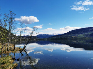 事业单位的资产包括哪些