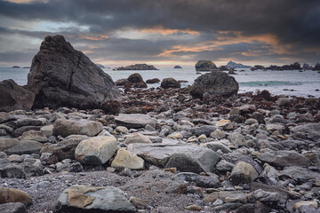 企业资质类别及等级该填什么