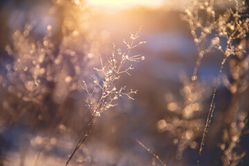 安徽国资委下属单位有哪些