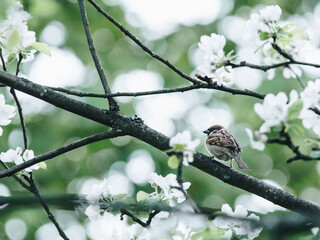 普宁市广太镇政府到高铁站有多少公里