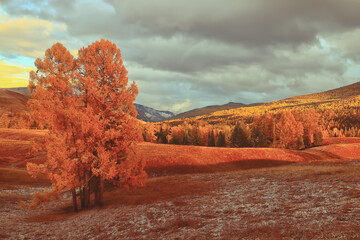事业单位的资产包括哪些