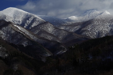 事业单位的资产包括哪些