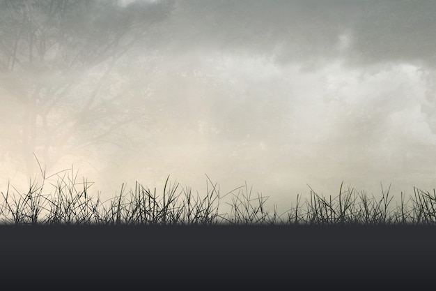 hb101活力液使用方法