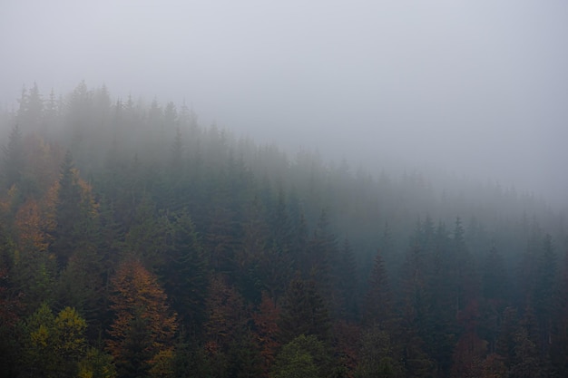 浴室柜品牌十大排名