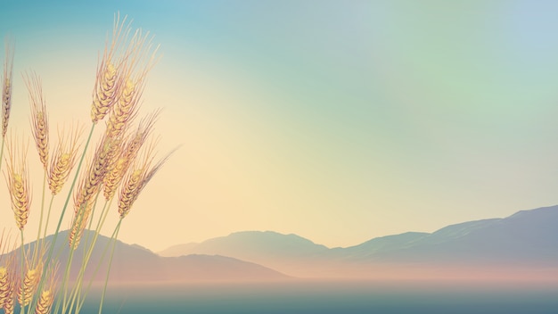 盘锦高中和辽河油田第一高中哪个更好？