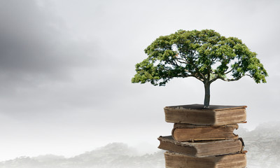 安徽国资委下属单位有哪些