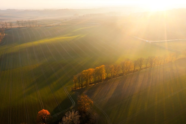 国产摩托车排名（国产摩托车前十名）